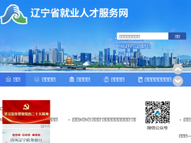 'lnrc.com.cn' screenshot