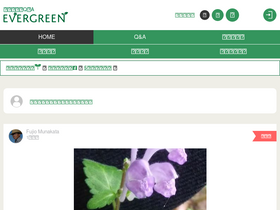 'love-evergreen.com' screenshot