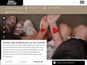'lyon-france.com' screenshot