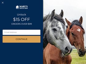 'marystack.com' screenshot