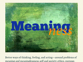 'meaningness.com' screenshot
