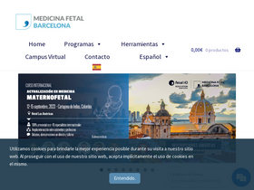 'medicinafetalbarcelona.org' screenshot