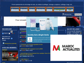 'metabricoleur.com' screenshot