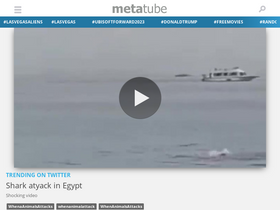 'metatube.com' screenshot