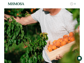 'miimosa.com' screenshot