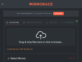 'mirrorace.com' screenshot