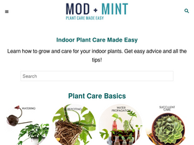 'modandmint.com' screenshot
