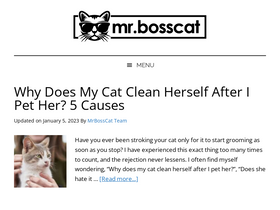 'mrbosscat.com' screenshot