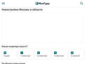 'mskguru.ru' screenshot