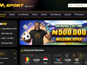 'msport.com' screenshot