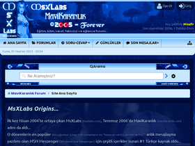 'msxlabs.org' screenshot