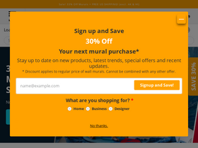 'muralsyourway.com' screenshot
