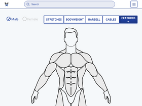 'musclewiki.com' screenshot