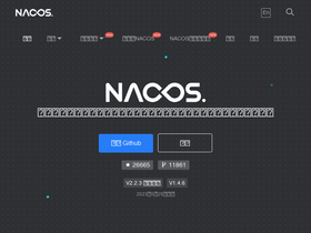 'nacos.io' screenshot