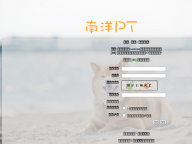 'nanyangpt.com' screenshot
