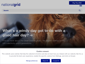 'nationalgrid.com' screenshot