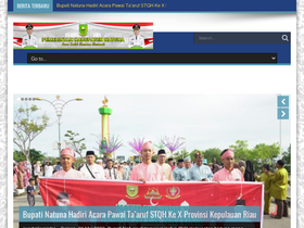 'natunakab.go.id' screenshot