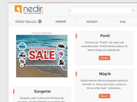 'nedir.com' screenshot