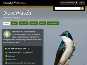 'nestwatch.org' screenshot