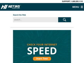 'netins.net' screenshot
