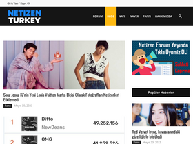 'netizenturkey.net' screenshot