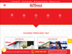 'netspace.edu.vn' screenshot