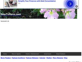 'newtoreno.com' screenshot