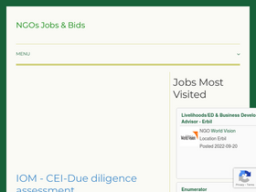 'ngosjobs-bids.com' screenshot