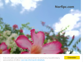 'norfipc.com' screenshot