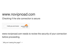 'novipnoad.com' screenshot