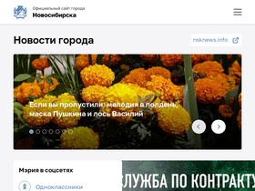 'novo-sibirsk.ru' screenshot
