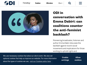 'odi.org' screenshot