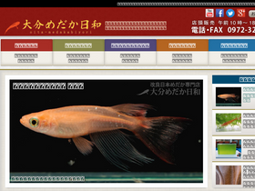 'oitamedakabiyori.com' screenshot