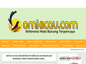 'omkicau.com' screenshot