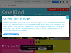 'onekindplanet.org' screenshot