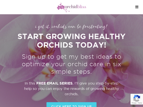 'orchidbliss.com' screenshot