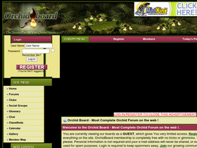 'orchidboard.com' screenshot