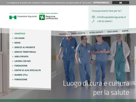 'ospedaleniguarda.it' screenshot