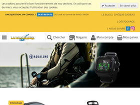 'palanquee.com' screenshot