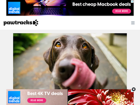 'pawtracks.com' screenshot