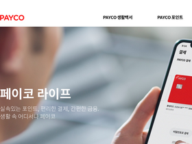 'payco.com' screenshot