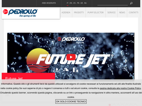 'pedrollo.com' screenshot