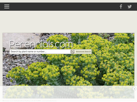 'perennials.com' screenshot