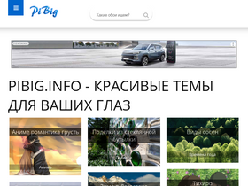 'pibig.info' screenshot