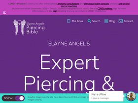 'piercingbible.com' screenshot