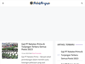 'pilihprofesi.com' screenshot