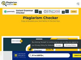 'plagiarismdetector.net' screenshot
