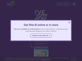 'planbonestep.com' screenshot