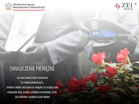 'policja.pl' screenshot