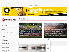'polskieligi.net' screenshot